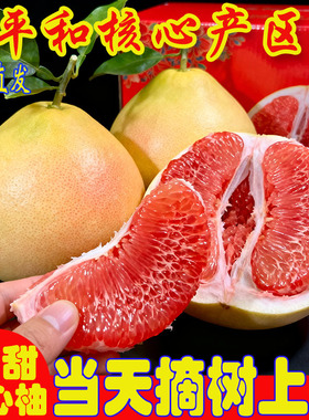 【中秋送礼优选】福建红心蜜柚精选新鲜水果公司团购福利红心柚子