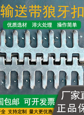 输送带狼牙扣 皮带扣输送带传动带夹头平胶带轻型带 加长型接头扣