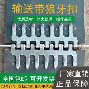 隋塔传动输送带狼牙扣 皮带扣输送带传动带夹头平胶带轻型带 加长型接头扣