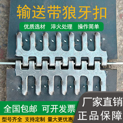 淬火处理输送带狼牙扣强力碳钢