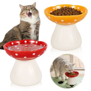 2 Pcs Elevated Raised Cat Bowl Mushroom Cat Water High Feet