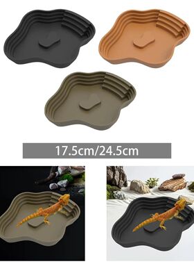 Reptile Bathing Pool with Ramp Tortoise Water Dish for