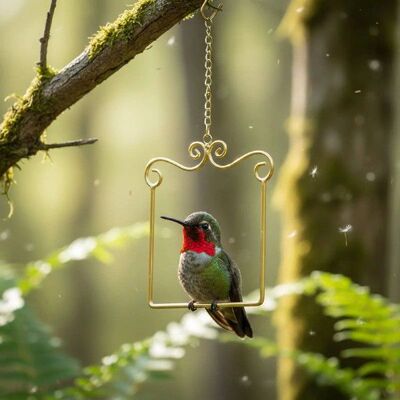 Avian Perch Swing Perch Swing Rust Resistant Avian Perch