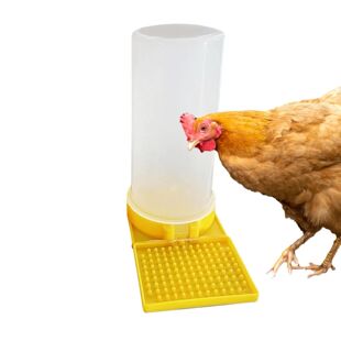 Chicken Waterer Large Capacity Clear No Waste Quail Feeder