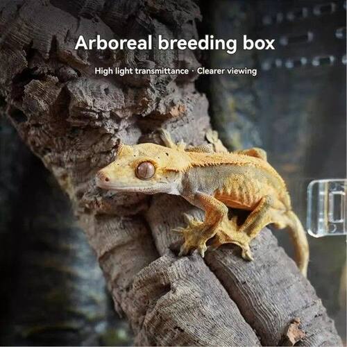 Industrial Tools Tree Frog Acrylic Glass Pet Snake Climbing
