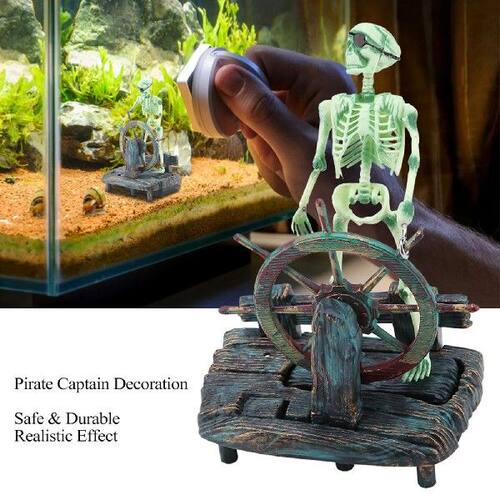 Fish  Decoration Aquarium Hippocampus Pirate Captain