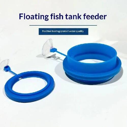 【1Pcs Square Circle Accessory Fish Food Feeder Suction Cup