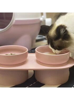 Elevated Ceramic Pet Bowls for Cats & Dogs Raised Holder