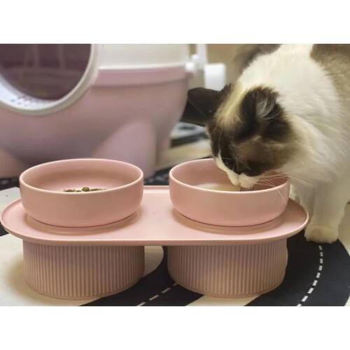Elevated Ceramic Pet Bowls for Cats & Dogs Raised Holder