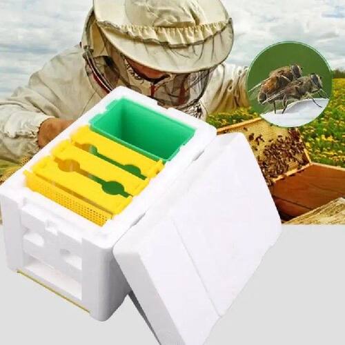 Bee Breeding Box Bee Mating Box Foam Bee  Box