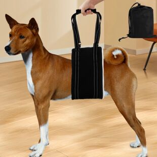 Adjustable Back Leg Dog for Harness Sling Old Lift