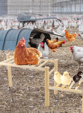 Chicken Perch for Coop Accessories Wooden Habitat