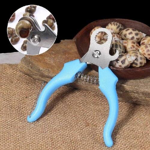 - Not Slip Cutting Field Snail Butt Artifact Lion Tail
