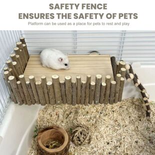 Hamster Climbing Handcrafted Pet Activity Playground