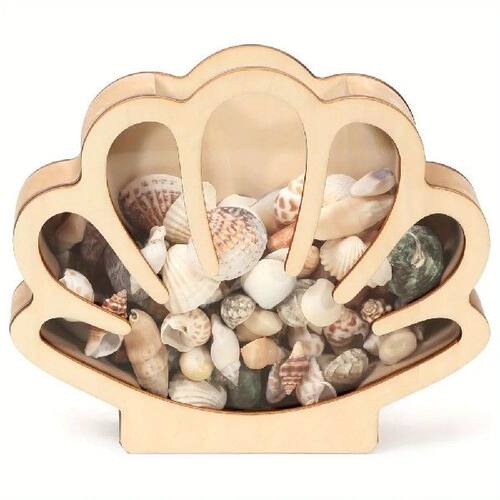 Shell Shaped Wooden Seashell Display Box Beach Themed