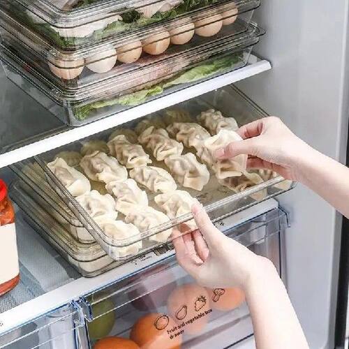 【Dumpling Box With Lid Single Layer Transparent Food