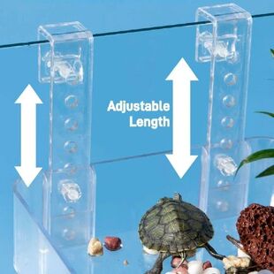 With Ramp Tortoise Climbing Basking Platform Acrylic