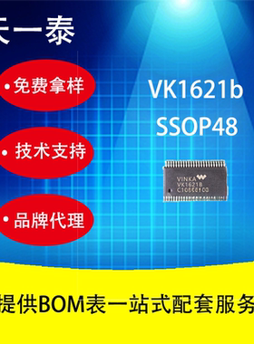 VK1621b LCD驱动器 SSOP48封装欢迎咨询报价