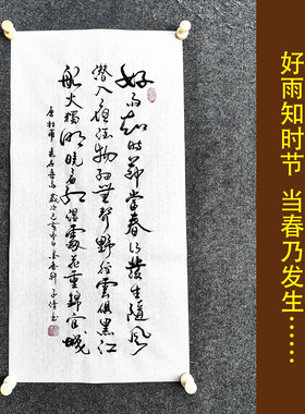 春夜喜雨书法传统字画手写真迹