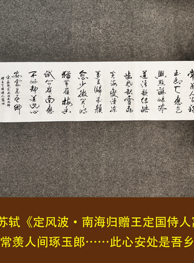 此心安处是吾乡 苏轼诗词书法作品挂画手写真迹中式字画装裱定制