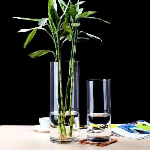 玻璃花瓶马醉木龟背竹花桶