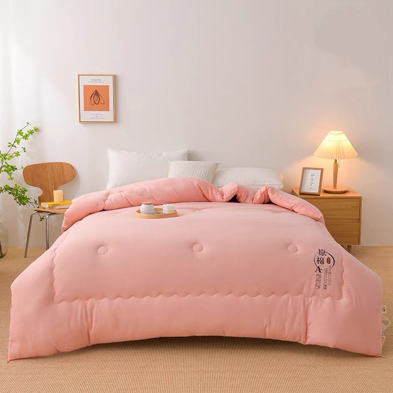 加厚保暖被芯秋冬纤维被冬被棉被春秋四季被单人学生被芯厚冬被子