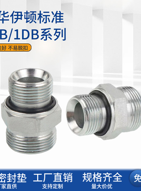 永华标准镀锌1CB/1DB-WD英制直通24度锥卡套密封过渡液压油管接头