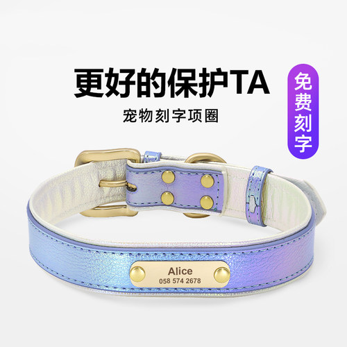 日本宠物项圈刻字防丢中型犬柯基