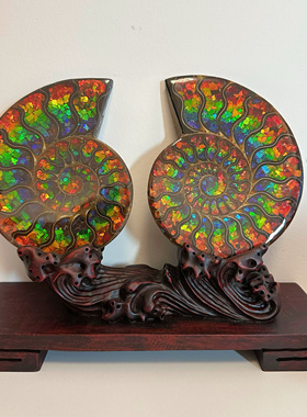 天然加拿大斑彩石碎片拼马达加斯加螺摆件一对 送礼 乔迁 家居