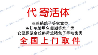 代发活体代寄合规代寄鱼乌龟活鱼兔子鸽子全国上门取件顺丰京东