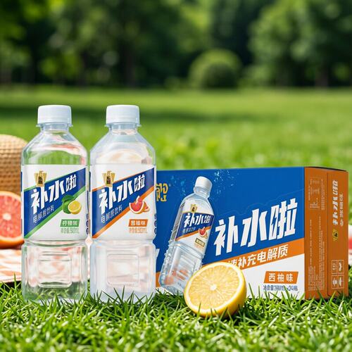 东鹏补水啦饮料电解质水整箱小瓶