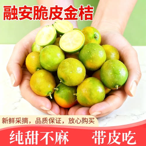 广西桂林脆皮金桔新鲜水果当季整箱包邮