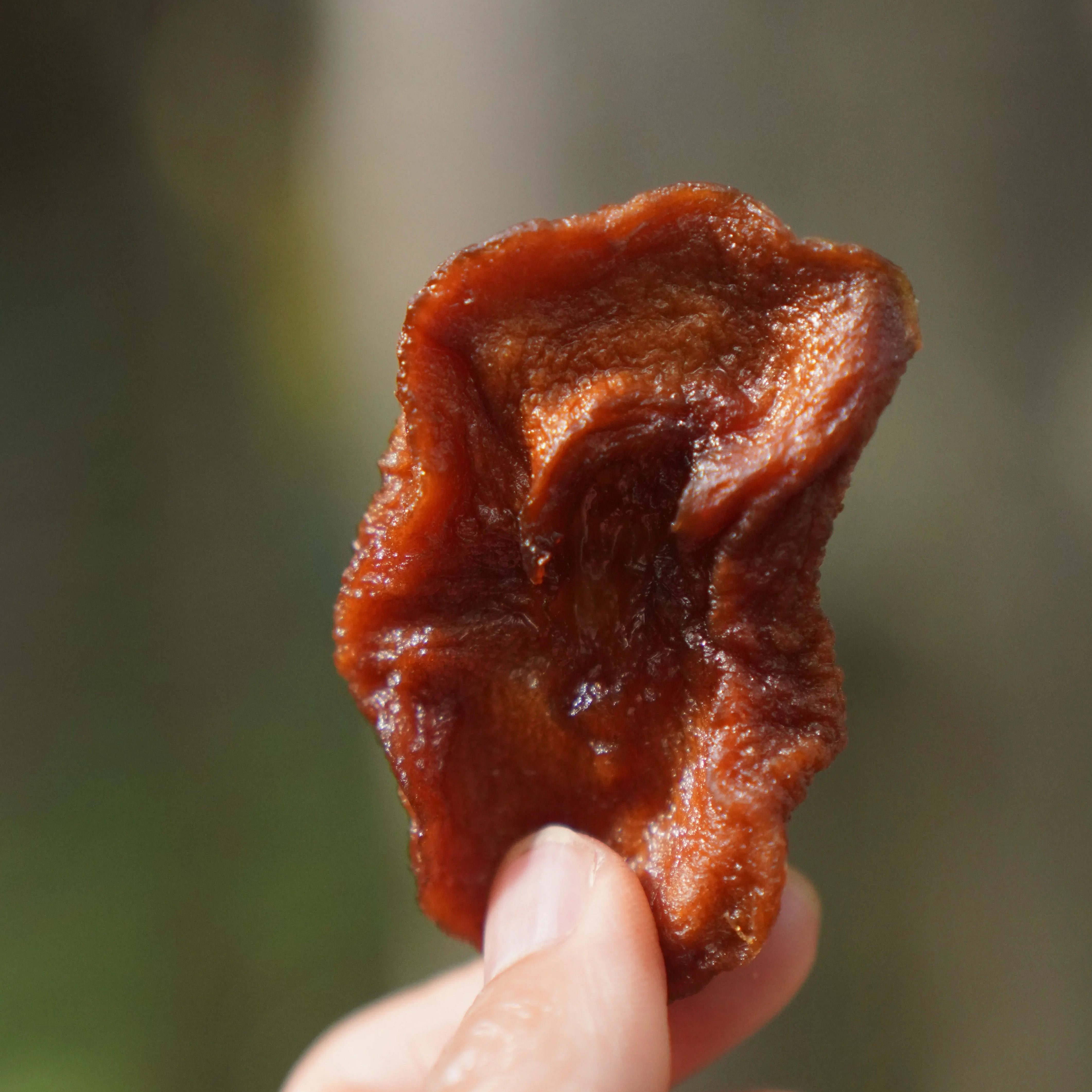 【野森君】云南特产原味无加糖三蒸三晒苹果干健康休闲零食宝宝,零食/坚果/特产,苹果干,淘宝优惠券,粉丝福利购,淘宝优惠卷