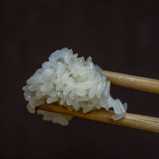 【野森君】云南高原优质象牙米软米粳米云粳37号口感软糯香味好