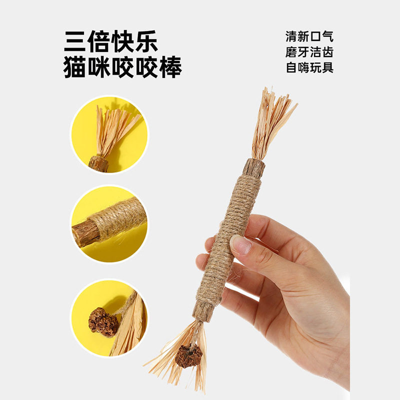 猫咪磨牙棒猫玩具 洁齿幼猫耐咬猫薄荷逗猫玩具 虫瘿果木天蓼