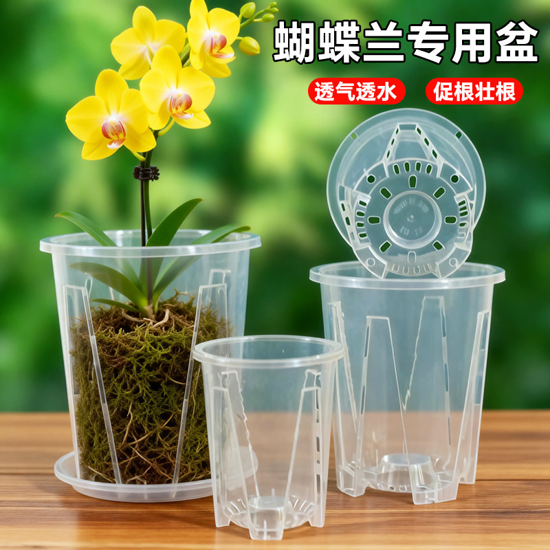 蝴蝶兰专用透明控根盆兰花花卉石斛水苔大号家用塑料透气镂空花盆图片