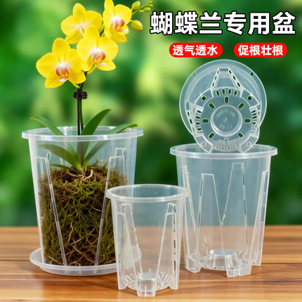 蝴蝶兰专用透明控根盆兰花花卉石斛水苔大号家用塑料透气镂空花盆