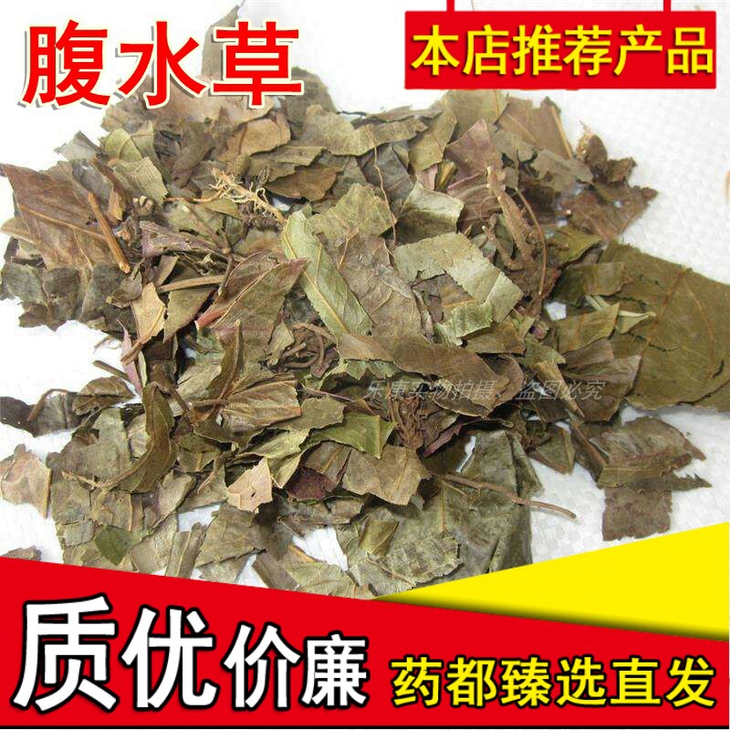 中药材新货腹水草精选优质现货多穗草两头爬两头粘头镇500克包邮
