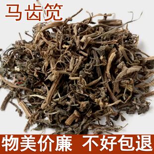 野生马齿苋菜新鲜马齿笕干500克中药材干野菜马齿草马齿菜长命菜