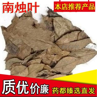 南烛叶精选新货优质竹叶墨饭叶乌饭树叶南烛枝叶中药材500g克包邮
