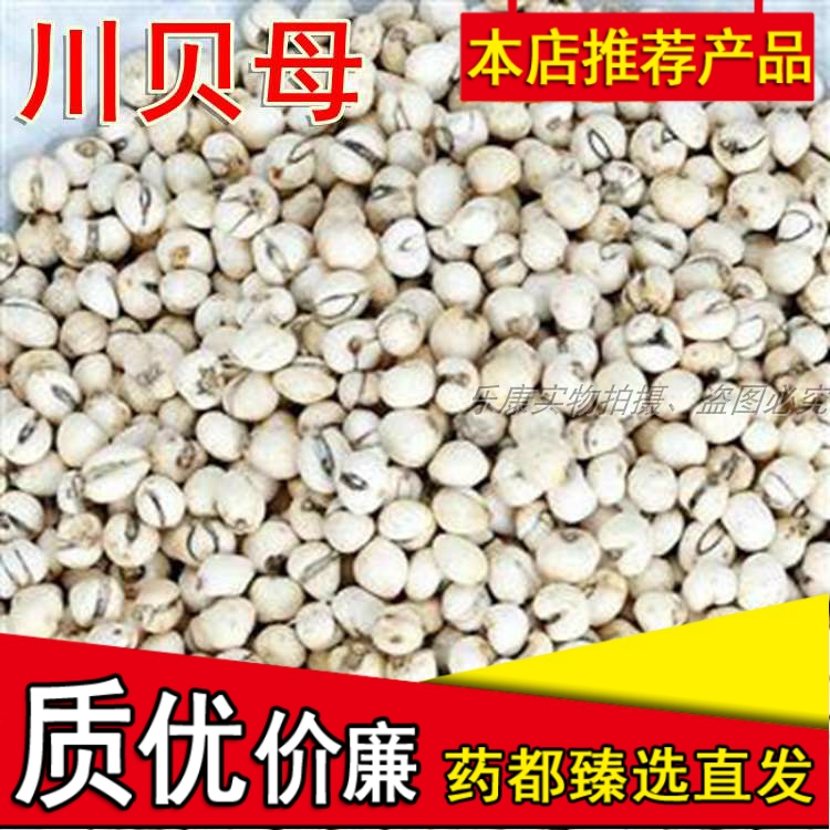 川贝精选现货川贝母珍珠贝正品四川直销磨川贝粉中药材500g克包邮