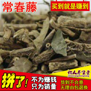 钻天风士鼓藤 长春花500g 追风藤 包邮 上树蜈蚣 中药材原生常春藤