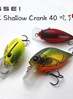 常吉ISSEI吃了小胖子G.C.ShallowCrank40SR/42MR硬饵根钓路亚饵