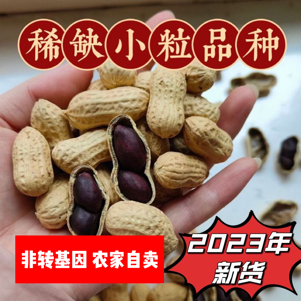 23年新带壳黑花生小粒黑皮生吃富硒养胃零食小吃老品种