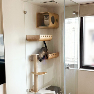 养三只猫的设计师「展示柜猫墙」上墙猫爬架墙壁式原实木猫窝跳台