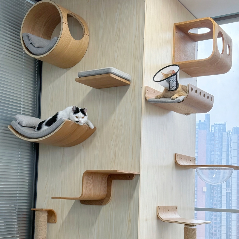 办公室养猫设计师自用猫爬架