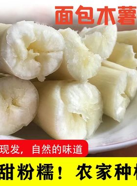 木薯cassava 面包树薯 香甜粉糯糖水海南食用木薯3斤 5斤农产品