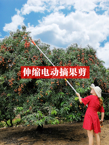 科力源电动果树修枝剪刀高枝剪伸缩高空剪加长杆摘水果神器充电式