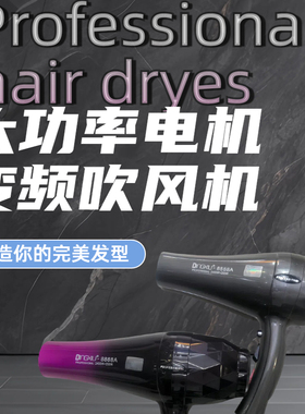 鼎秀变频2400W大功率3.5M线发廊