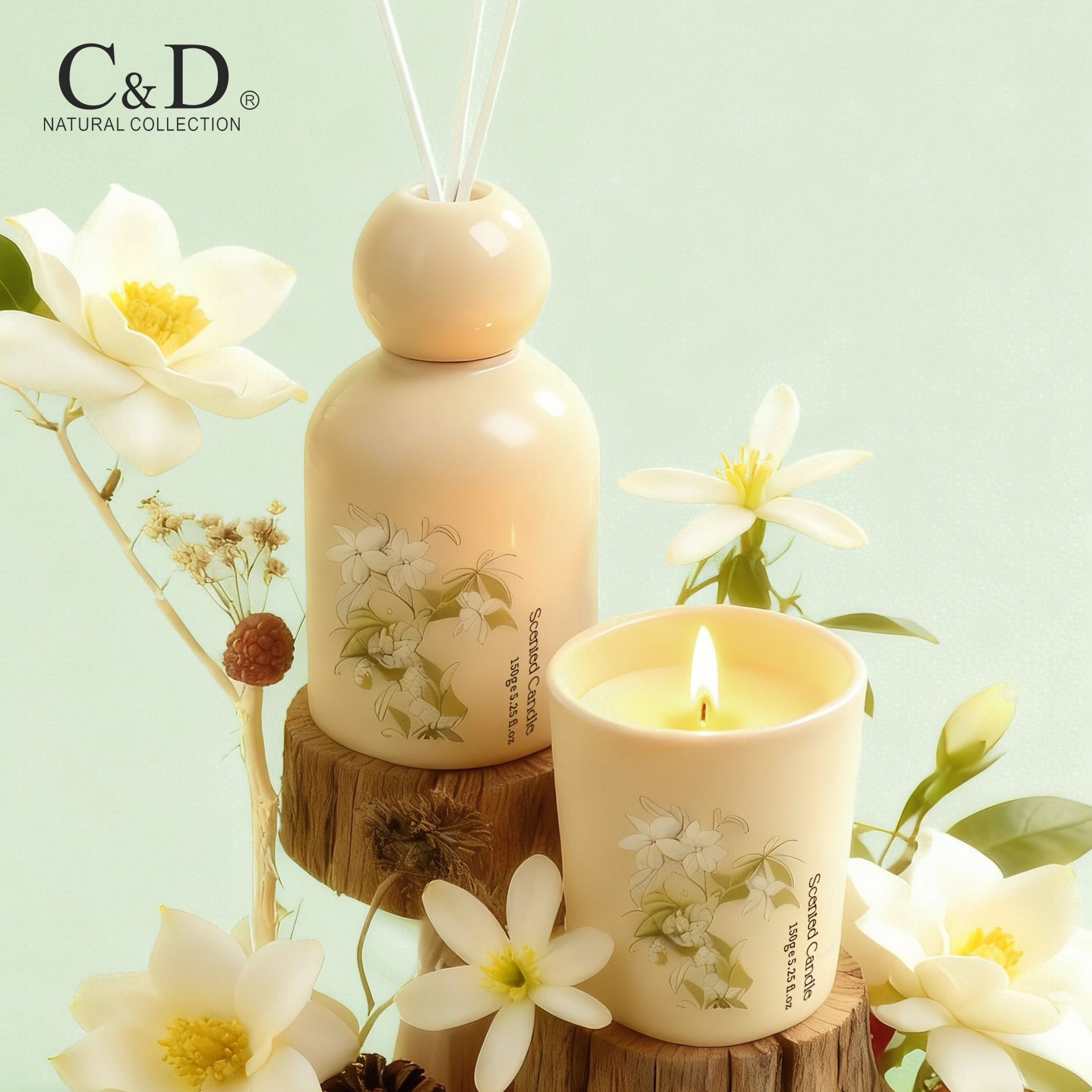 治愈系栀子花香丨装饰香氛礼物